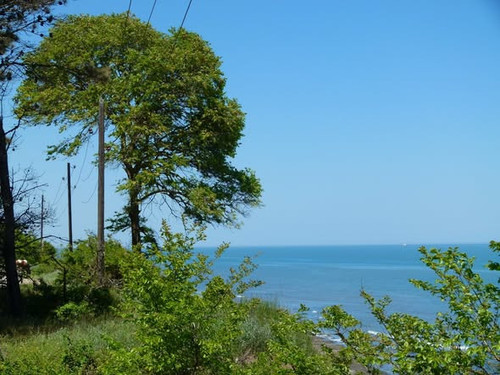 575174916 1246774517493670 8688137367351842917 n.jpg?stp=dst jpg s590x590 tt6& nc cat=110&ccb=1 7& n.jpg