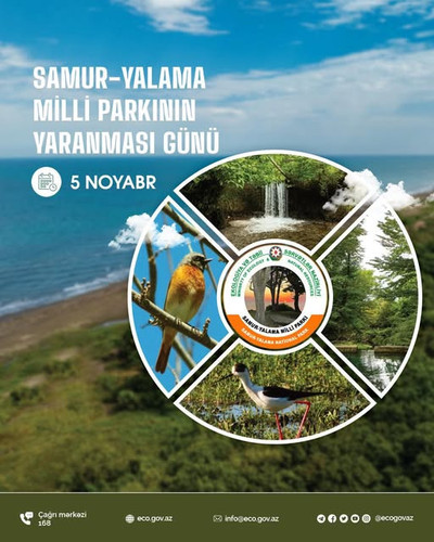 576911829 1246720267499095 933271262760634037 n.jpg?stp=dst jpg s640x640 tt6& nc cat=105&ccb=1 7& nc.jpg