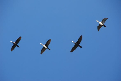 574875332 1246774544160334 4731410573500114044 n.jpg?stp=dst jpg p394x394 tt6& nc cat=101&ccb=1 7& n.jpg