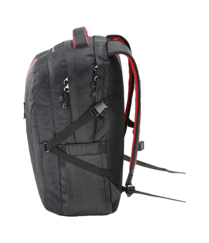 bull3 de364f16 3996 4e72 8aa9 53d0302a18b4.png