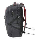 bull3 de364f16 3996 4e72 8aa9 53d0302a18b4