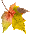 nleaf6.gif