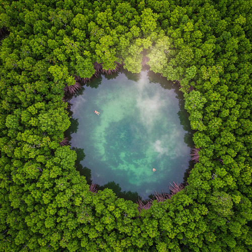 Palawan Island Escape: El Nido & Coron image 4 896x1152.png