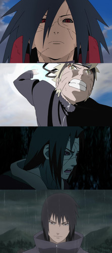 InCollage 20251104 233014280.jpg