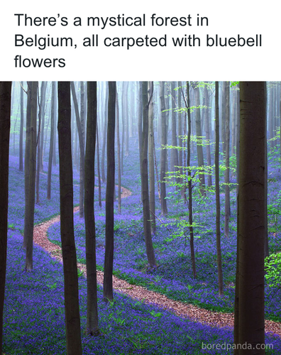 download 2025 11 05T091749.087.png