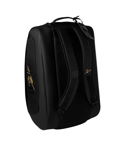 61SHN5VbzOL. AC SL1500.png