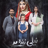 dxcreationx 1628262324 2634377771259861524 3616392535 1