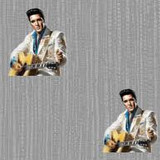 ELVIS