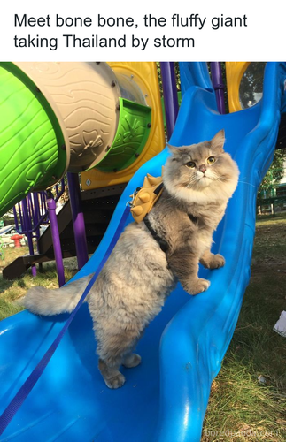 download 2025 11 05T145014.303.png