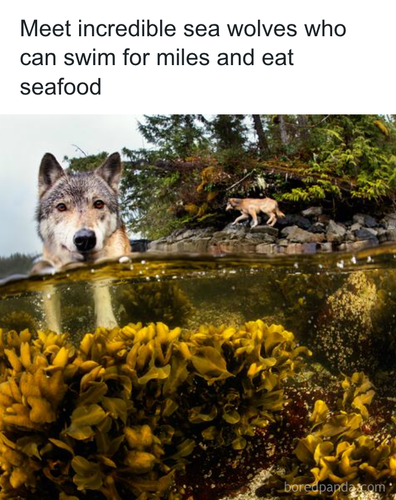 download 2025 11 05T140010.784.png