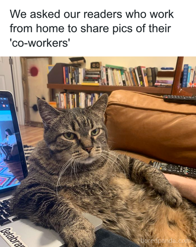 download 2025 11 05T141847.726.png