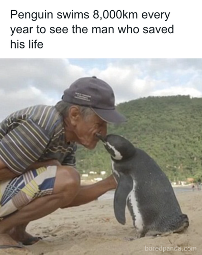 download 2025 11 05T142132.878.png