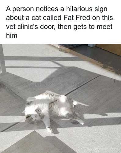 download 2025 11 05T141535.310.png