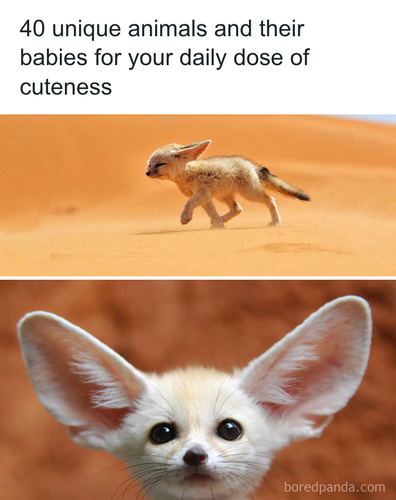 download 2025 11 05T142245.621.png