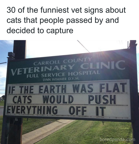 download 2025 11 05T143847.434.png