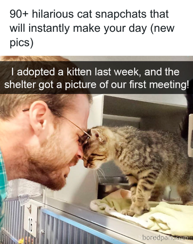 download 2025 11 05T143703.738.png