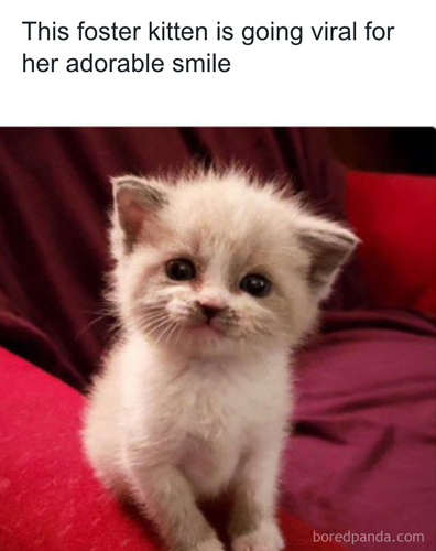 download 2025 11 05T143051.335.png