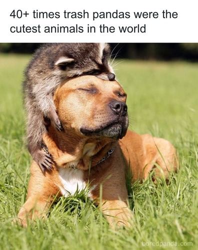 download 2025 11 05T143300.121.png