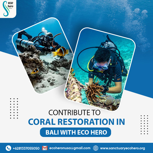 Contribute to Coral Restoration in Bali with Eco Hero.jpg