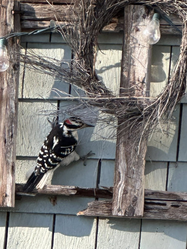 576196771 10238231128098894 4594806687890964812 n.jpg