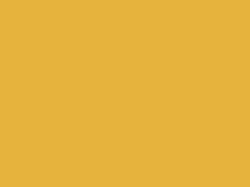 Autume bg center.png