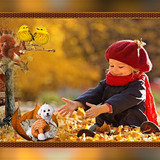 Autumn Fall Header