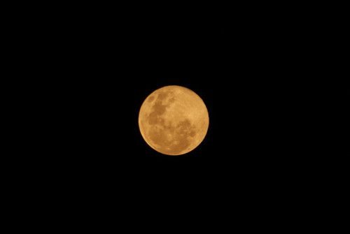 SONY DSC.jpg