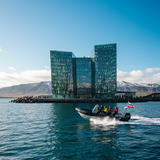 Reykjavik Escape: Golden Circle &amp; Blue Lagoon image 4 896x1152