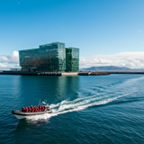 Reykjavik Escape: Golden Circle &amp; Blue Lagoon image 6 1152x1152