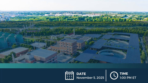 Hb LE81 PbrbQXaq.jpg