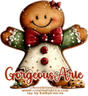 98 GorgeousArie1 vi.png