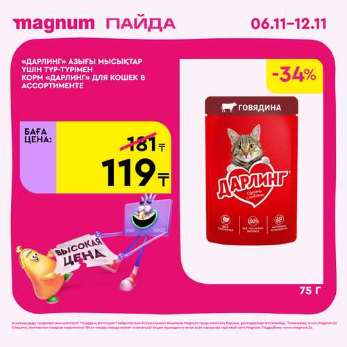 Magnum 1620x1620 1 tov 2025 11 05T153316.236.png