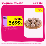 Magnum 1620x1620 1 tov 2025 11 05T153321.951