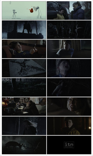 IMG 20251105 163911.jpg