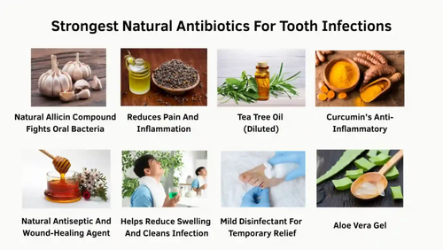 Strongest Natural Antibiotics For Tooth Infections.png