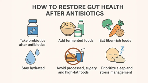 How to Restore Gut Health After Antibiotics.png