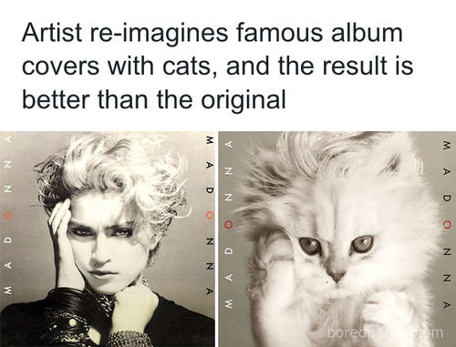 download 2025 11 05T164604.263.png