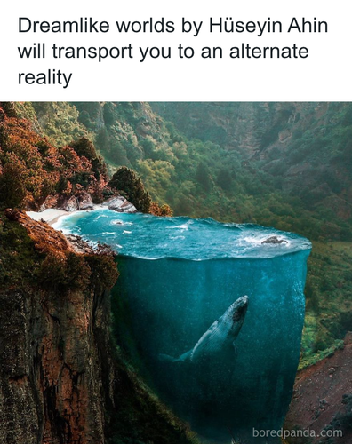 download 2025 11 05T164843.217.png