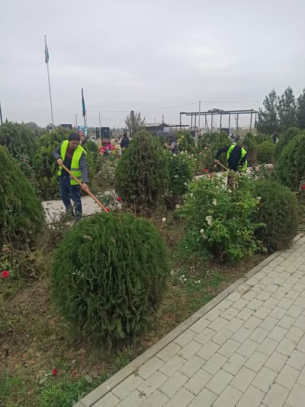 574273879 1235068391988208 7142617313219922493 n.jpg?stp=dst jpg s590x590 tt6& nc cat=100&ccb=1 7& n.jpg