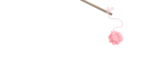 Untitled 2.png