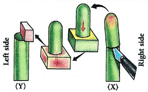 Screenshot 2025 11 05 013804.png