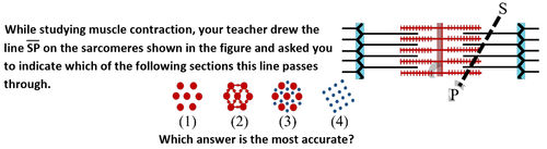 Screenshot 2025 11 05 134609.png