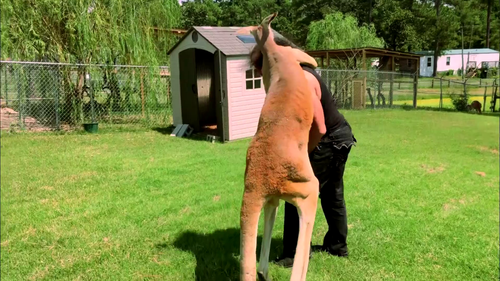 vlcsnap 2025 11 05 12h58m57s008