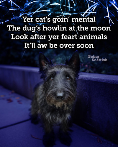 feart dugs IMG 0681.jpg