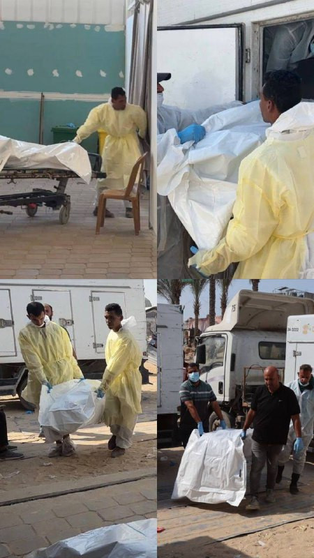 دفعة جديدة من الجثامين المحتجزة تصل إلى قطاع غزة، حيث وصل 15 جثمانًا إلى مستشفى ناصر الطبي في خان يونس قبل قليل ضمن صفقة التبادل....