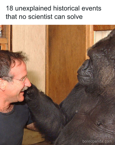 download 2025 11 05T175204.068.png