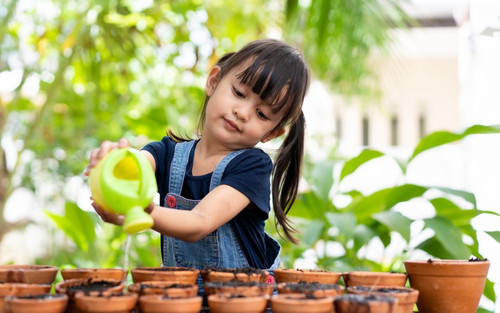 Extraordinary Kindy and Pre-Kindy Programs.jpg