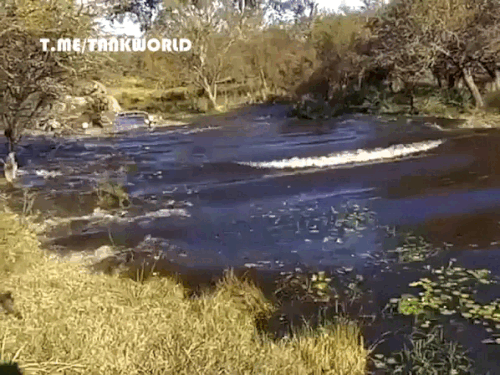 video 2025 11 06 03 00 30.gif