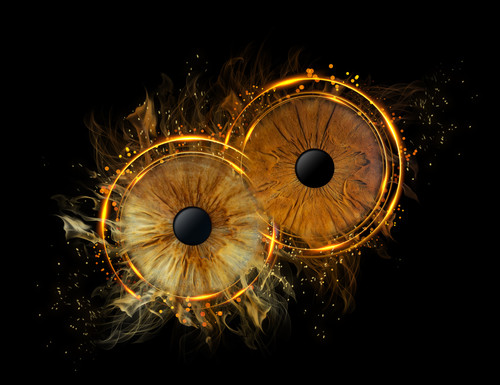 8375 Heather De Shazo.jpg