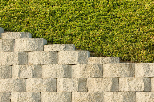 Ground cover grows above retaining wall. Nice pattern or background..jpg